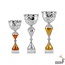 Trofee met goud accent - AK5824
