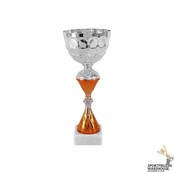 Trofee met goud accent - AK5824