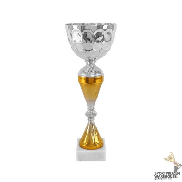Trofee met goud accent - AK5824