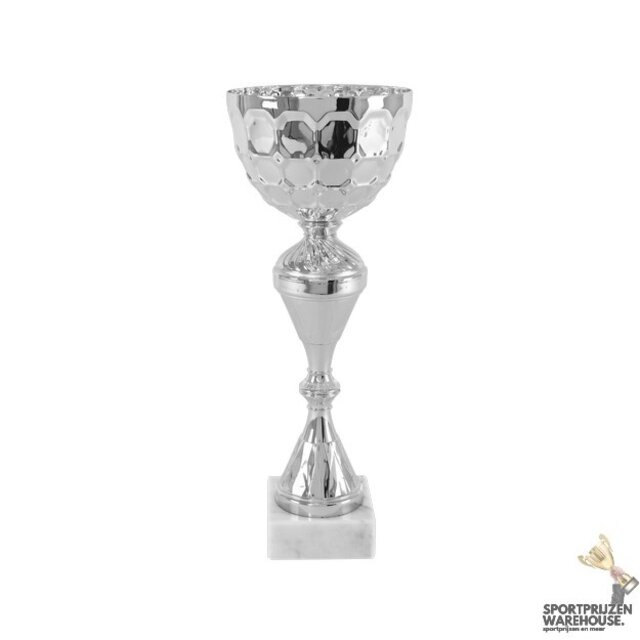 Trofee met goud accent - AK5824