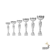 Zilveren award met gratis gravering - AK6012