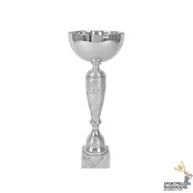 Zilveren award met gratis gravering - AK6012