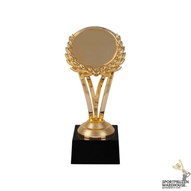 SUPER budget award - AR1061