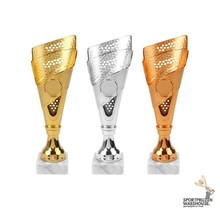 Voordelige kunststof award - AR1205