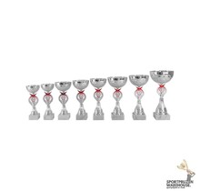 Leuke award met rood accent - AR1421