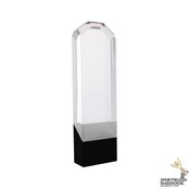 Trofee van glas in het goud, zilver of brons - Crystal Cling