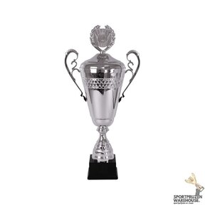 Konings trofee, extra groot! - AX9300