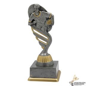 American football award - in het Goud of Antieklook