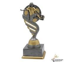 Dames voetbal award - In het Goud of Antieklook