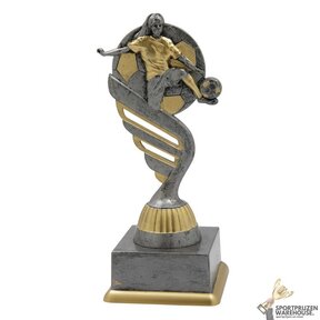 Dames voetbal award - In het Goud of Antieklook