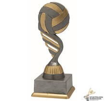 Volleybal sportprijs - In het Goud of Antieklook