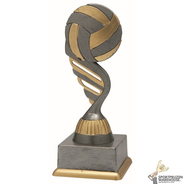 Volleybal sportprijs - In het Goud of Antieklook