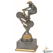 BMX Trofee - In het Goud of Antieklook
