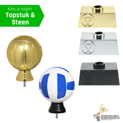Volleybal trofee met opties