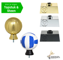 Volleybal trofee met opties