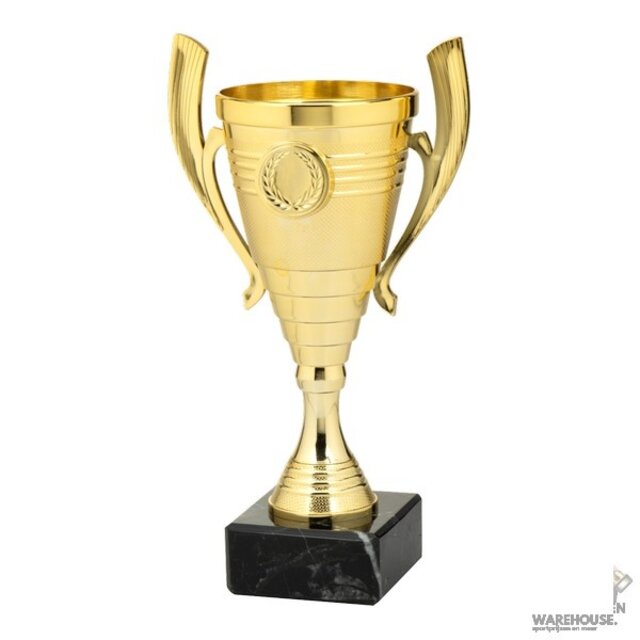 Kampioensdoos 6 - Set.356