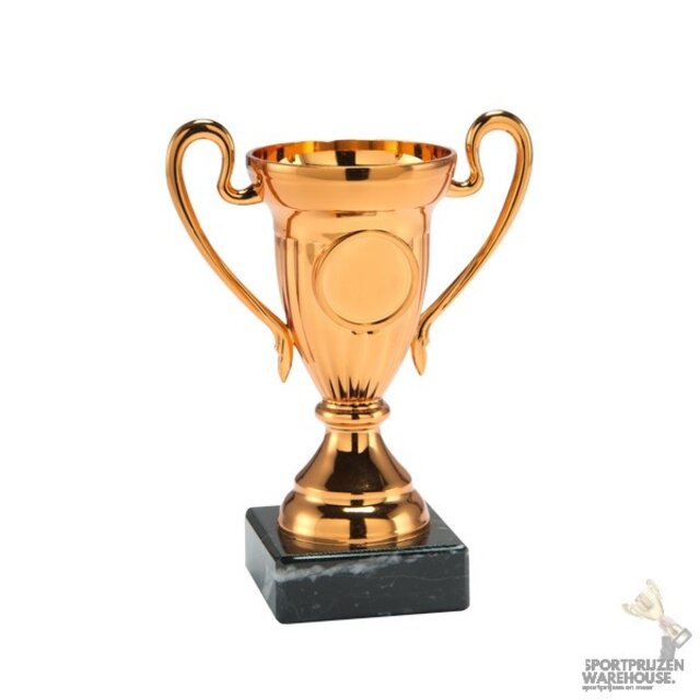 Kampioensdoos 10 - Set.324