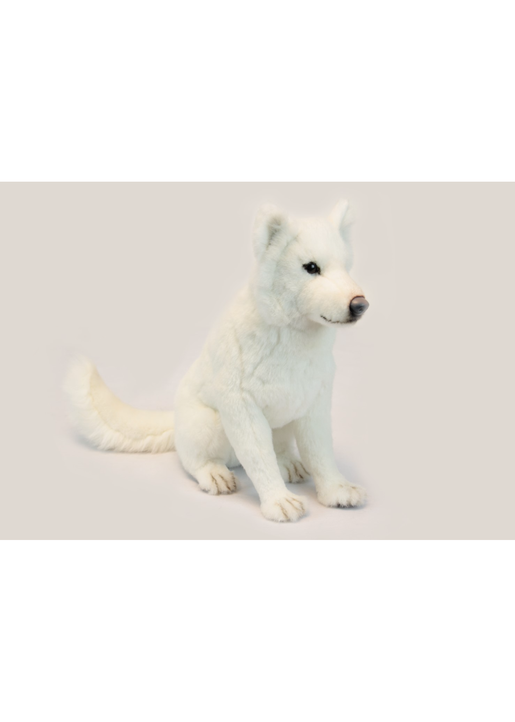Hansa Hansa Hokkaido Dog White 60cm