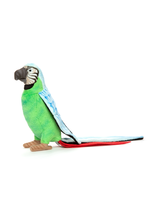 Hansa Hansa Parrot Bleu Green 37cm