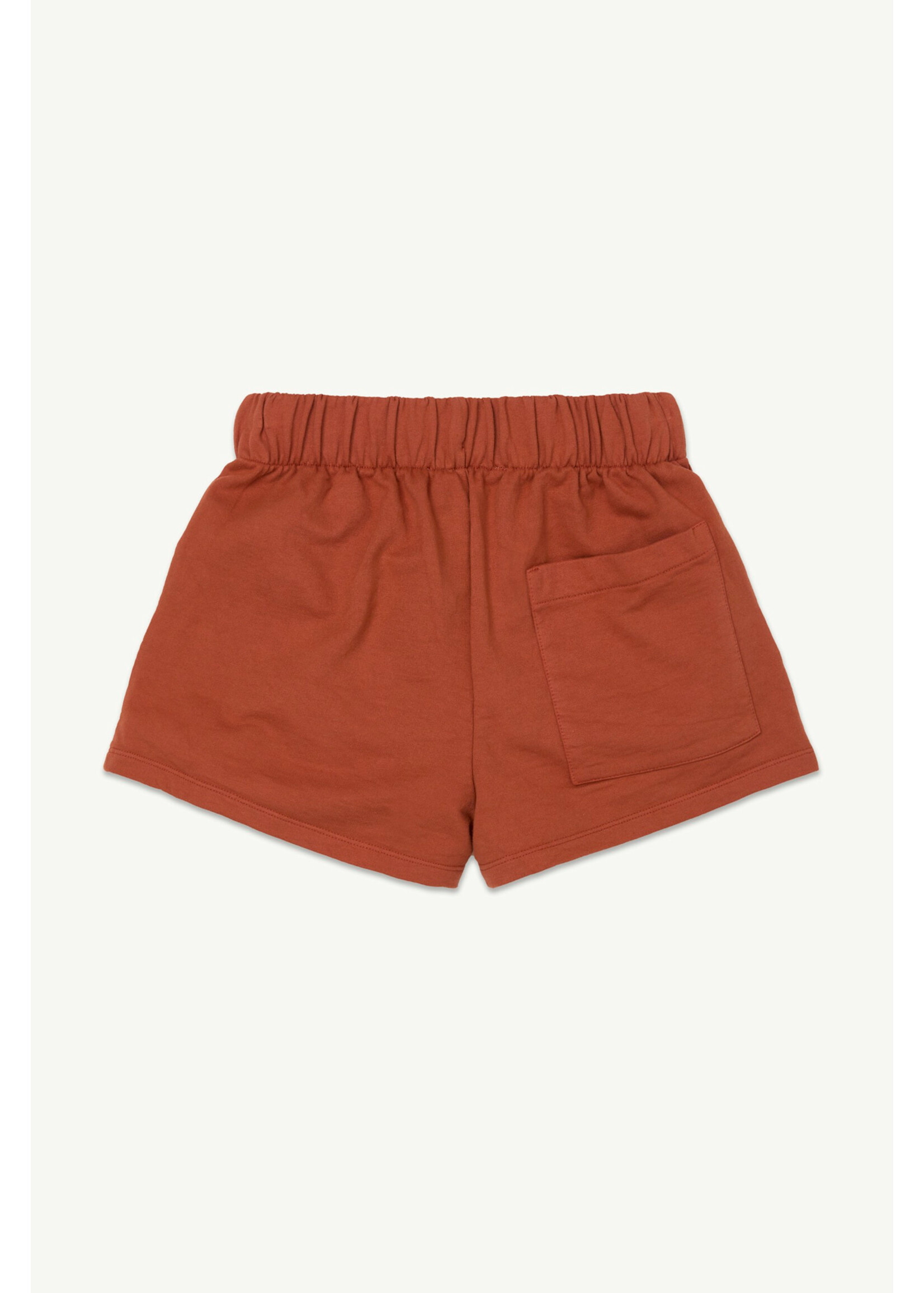 Main Story Main STory Track Shorts Brick