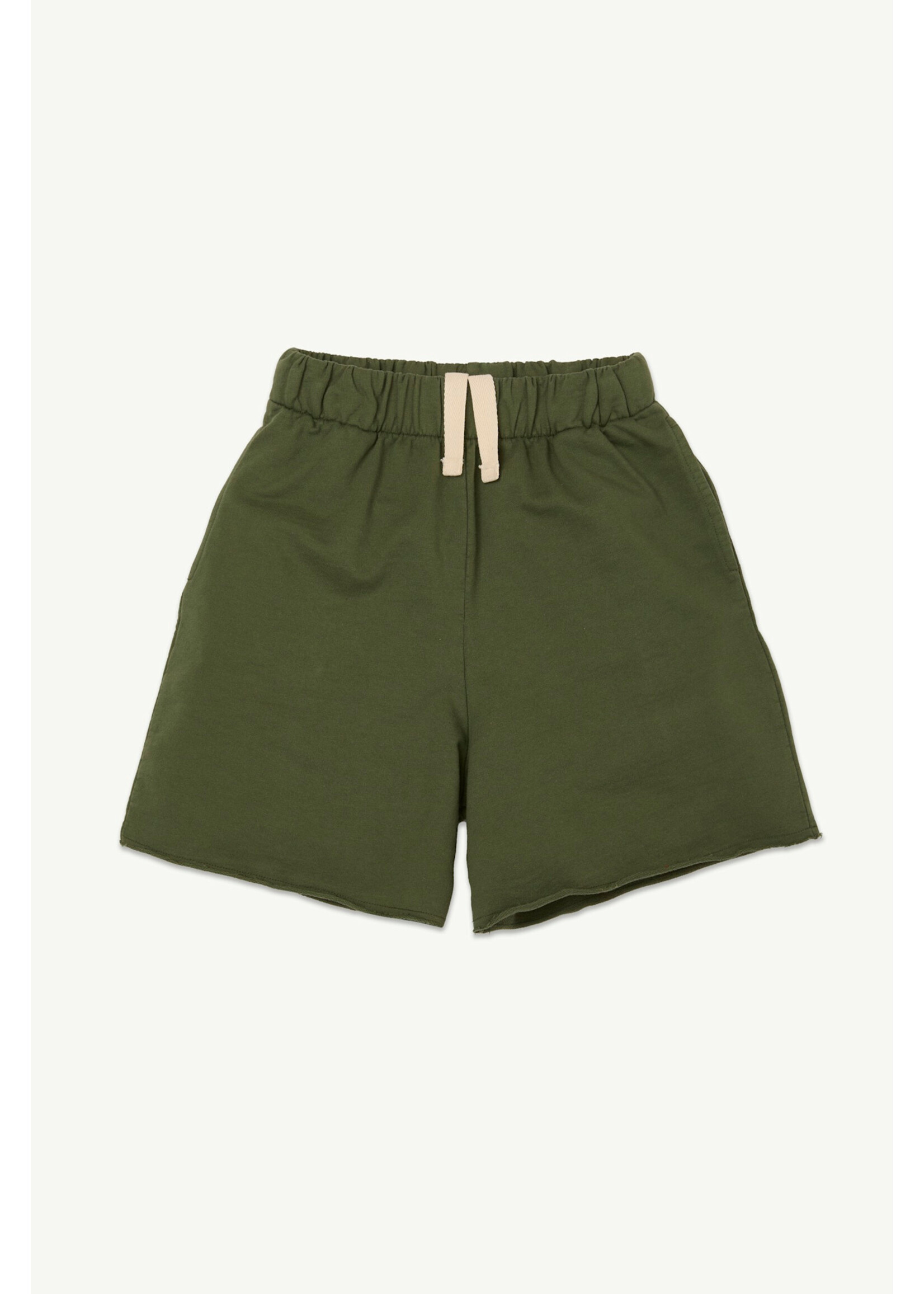 Main Story Main Story Skate Shorts Cypress