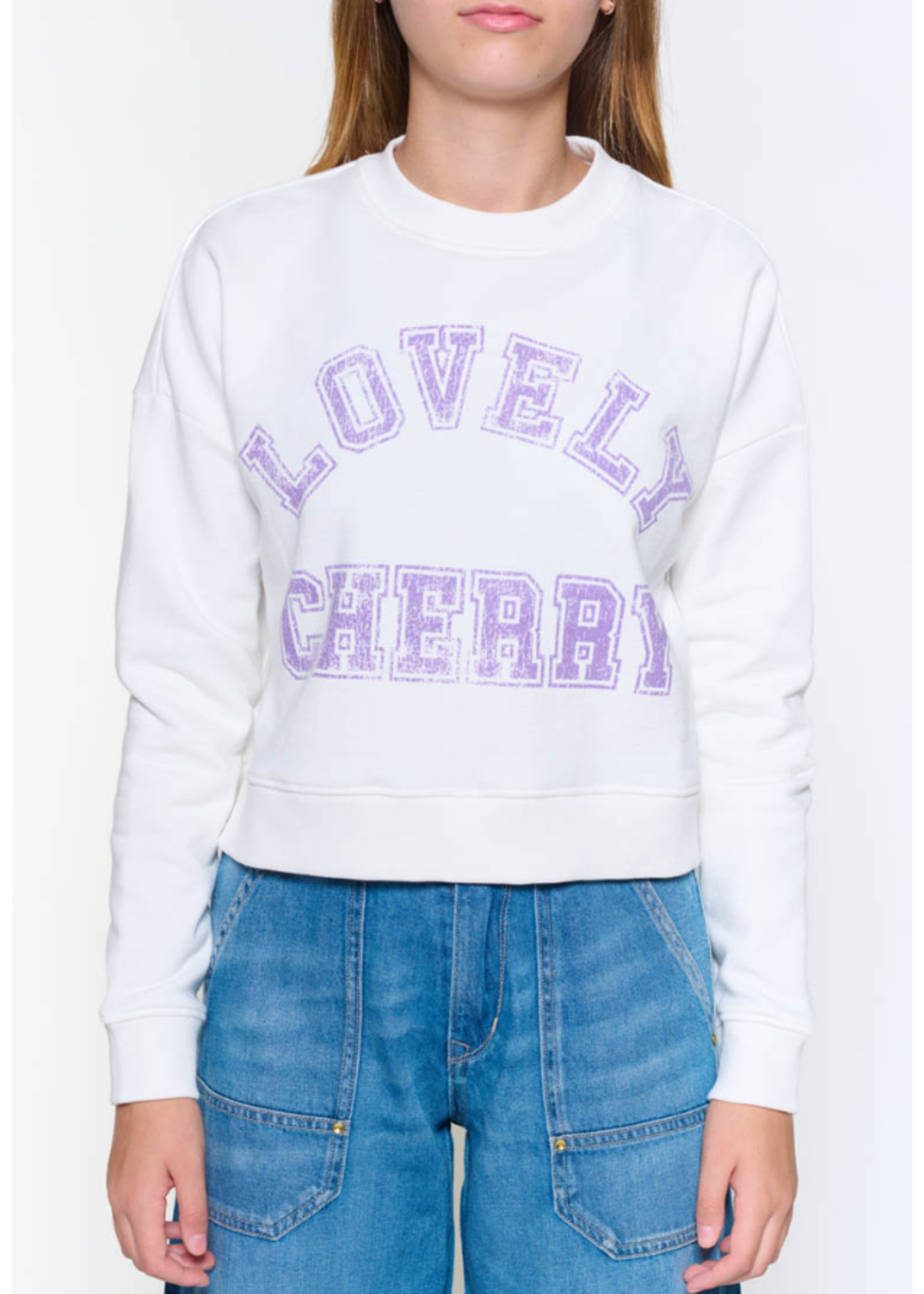 LTDC LTDC Sweater Stephagi Ice Cream