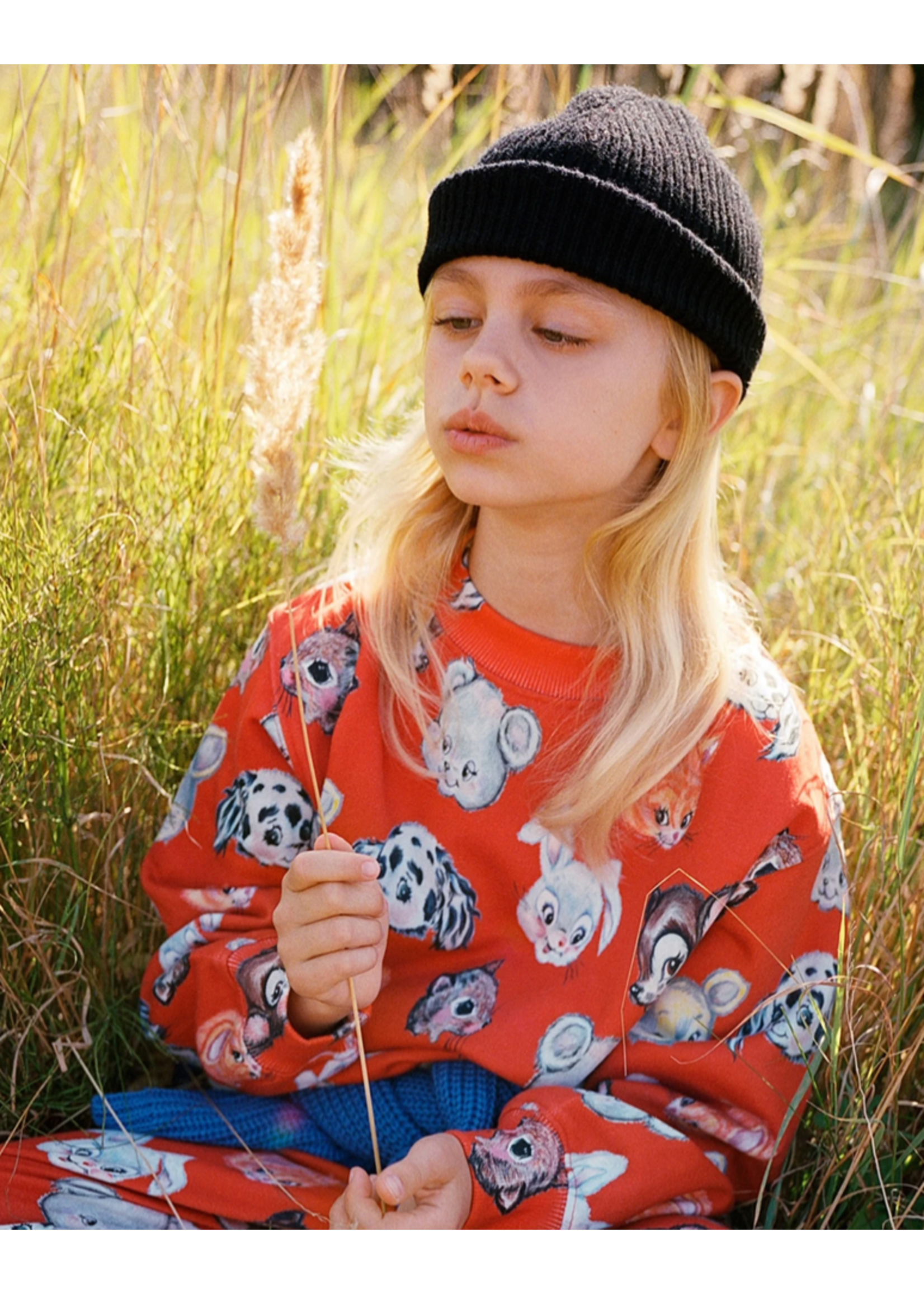 MOLO Molo Sweater Marge Rising Sun