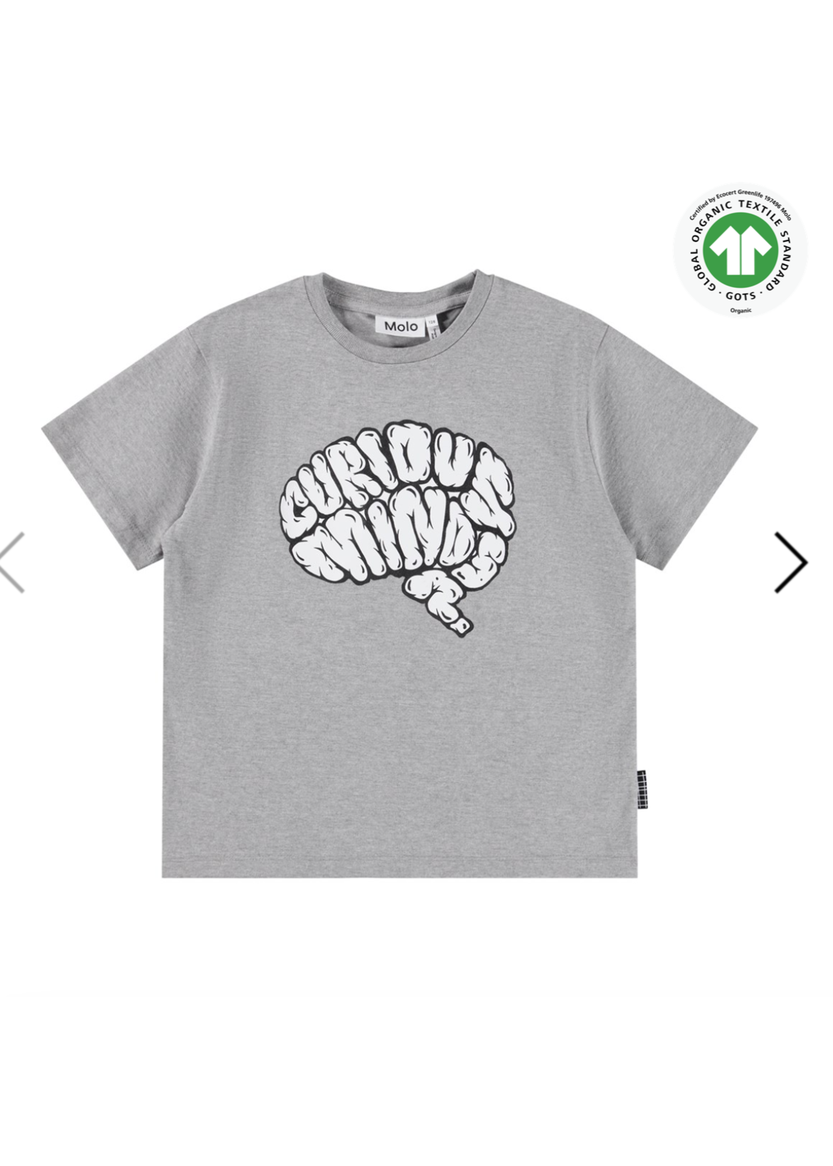 MOLO Molo T-Shirt Riley Grey Melange
