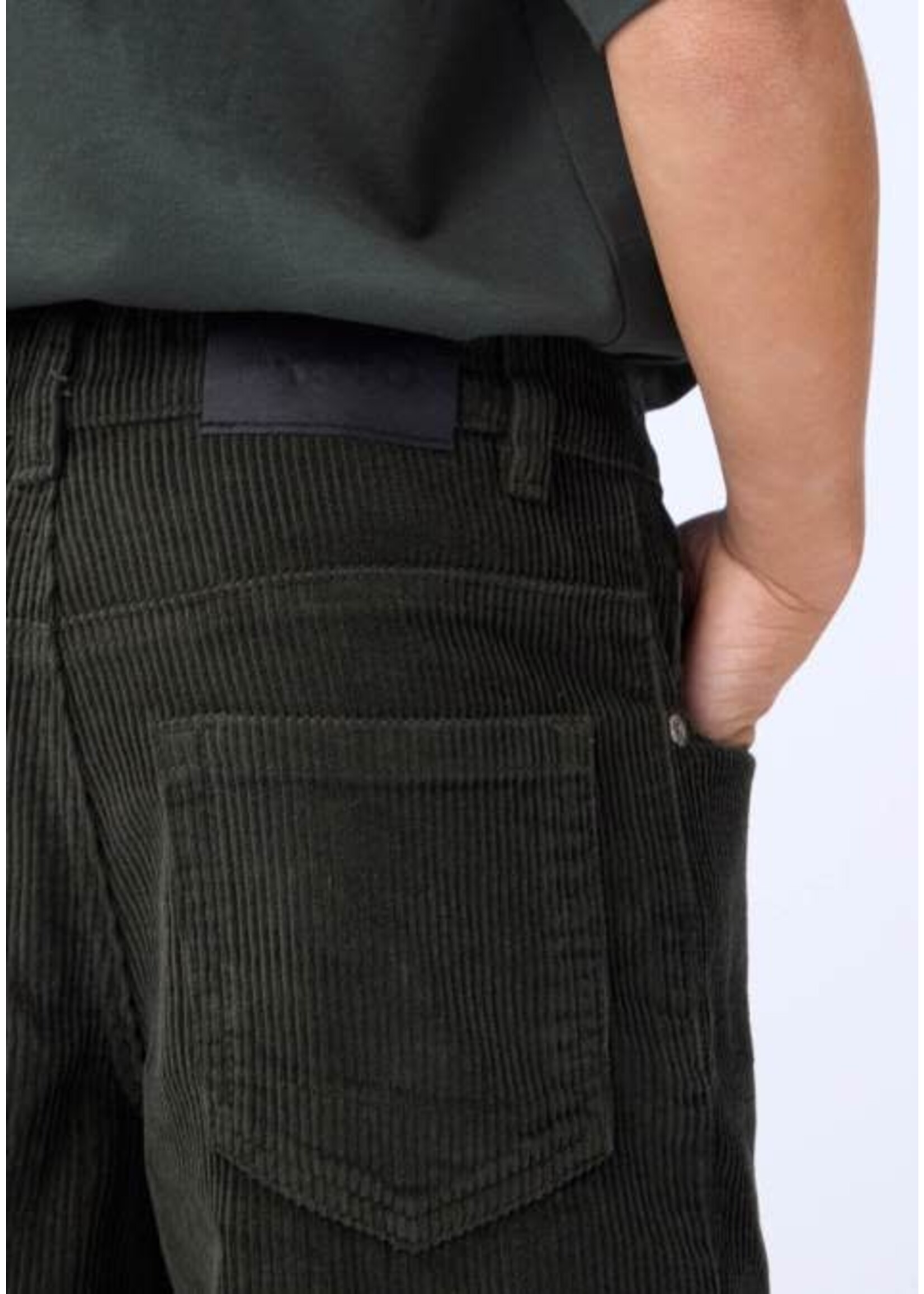 MOLO Molo Pants Aiden Dark Forest