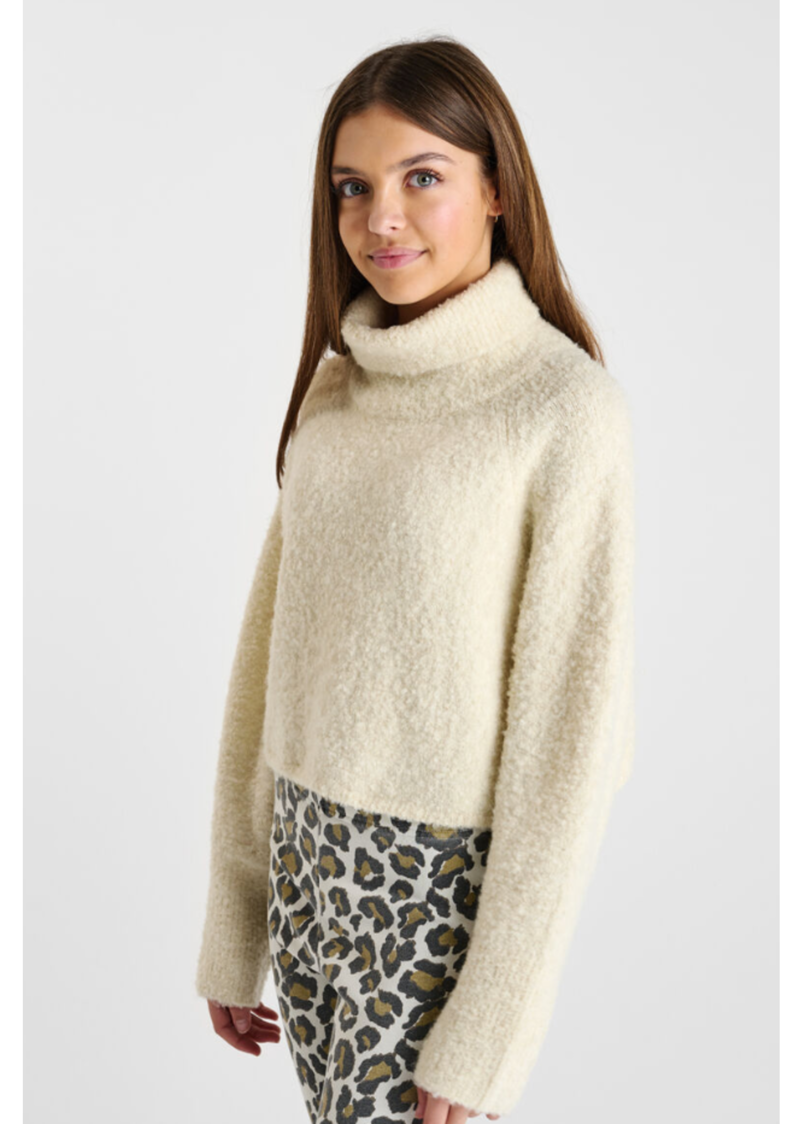 LTDC LTDC Pullover Odragi Ice Cream
