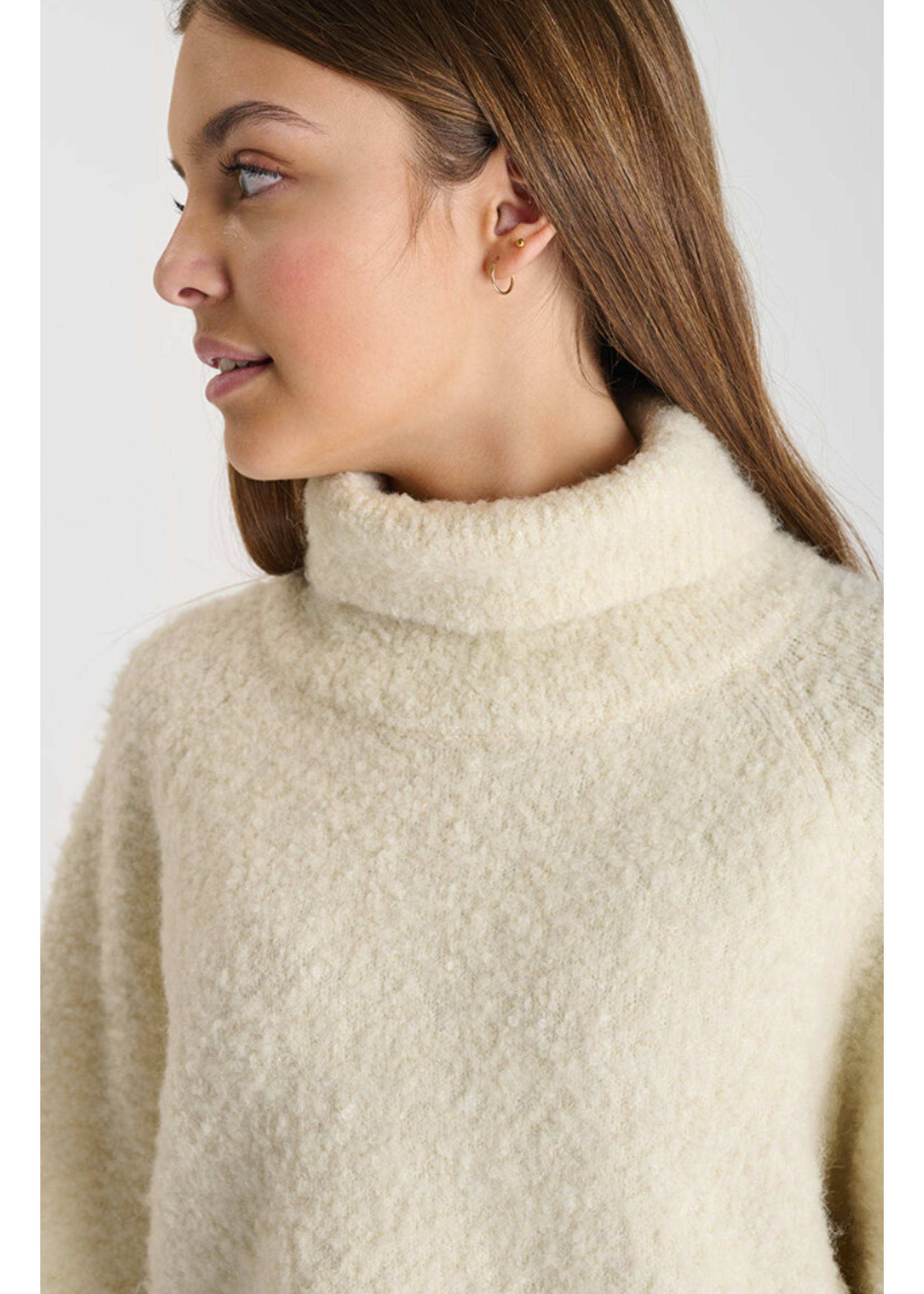 LTDC LTDC Pullover Odragi Ice Cream