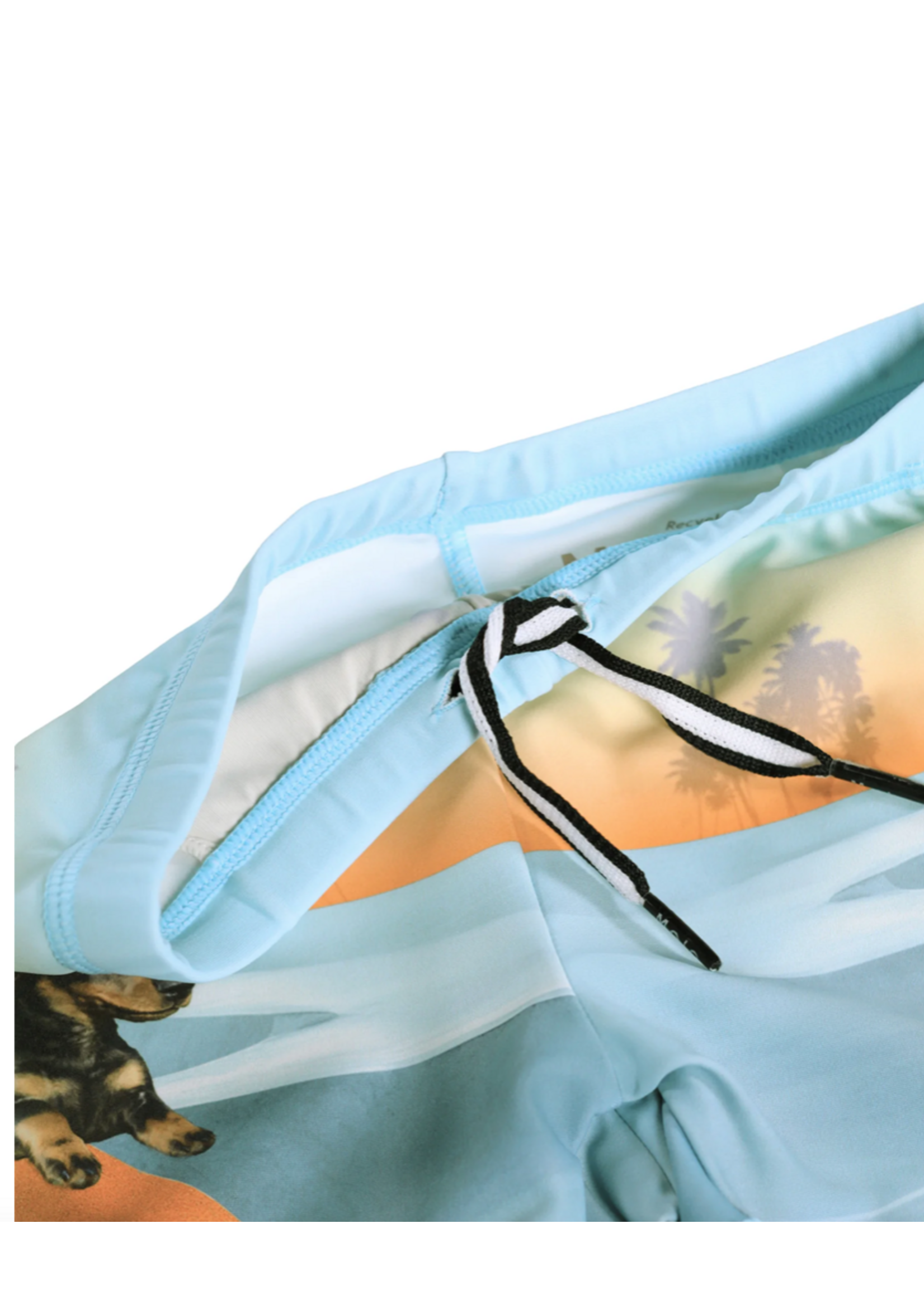 MOLO Molo Swim Trunks Norton Skate Fun