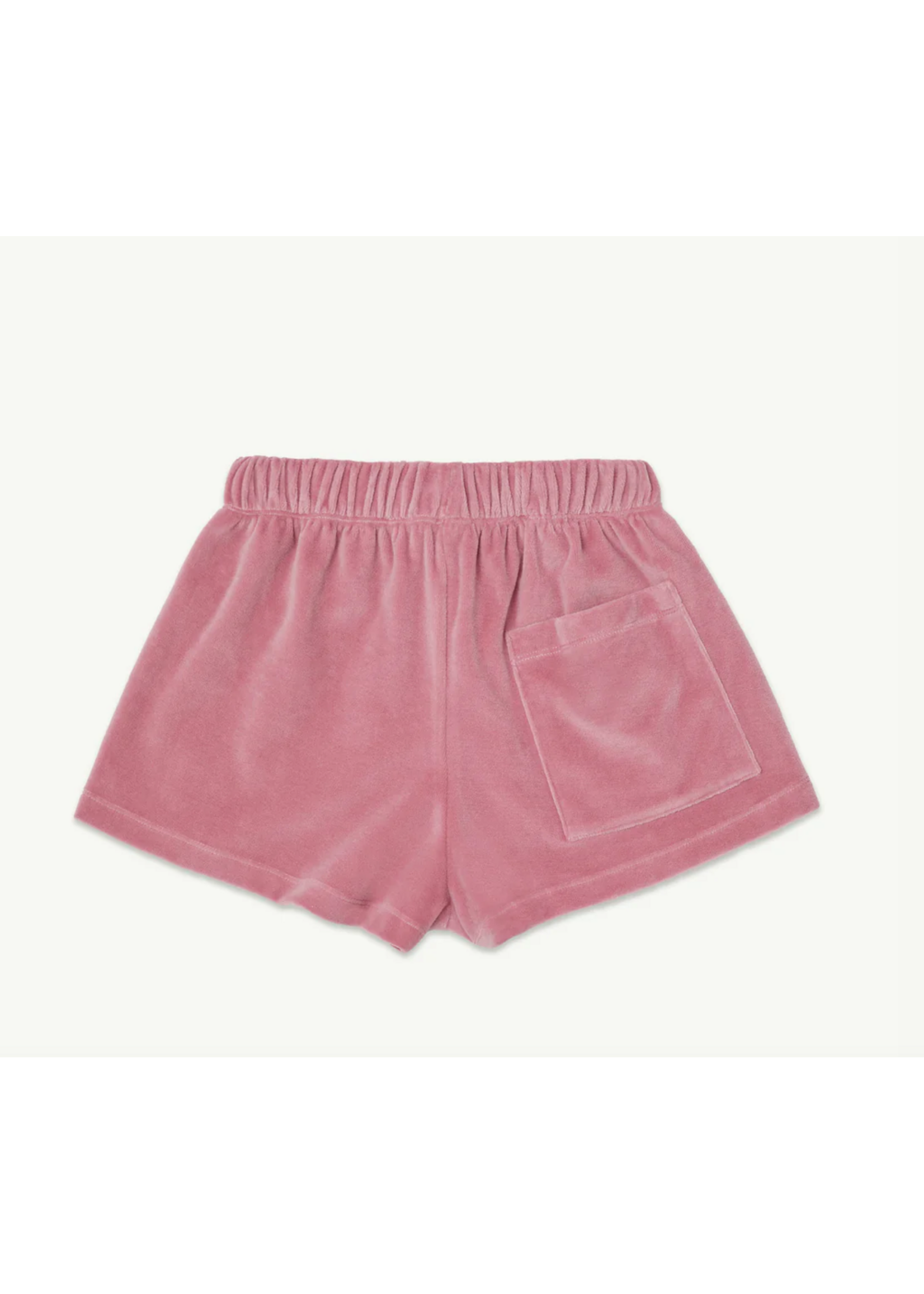 Main Story Main Story Track Shorts Velour Lilas