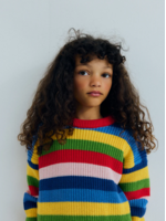 The New Society TNS Pullover Canela Tulip Red Multicolor Stripes