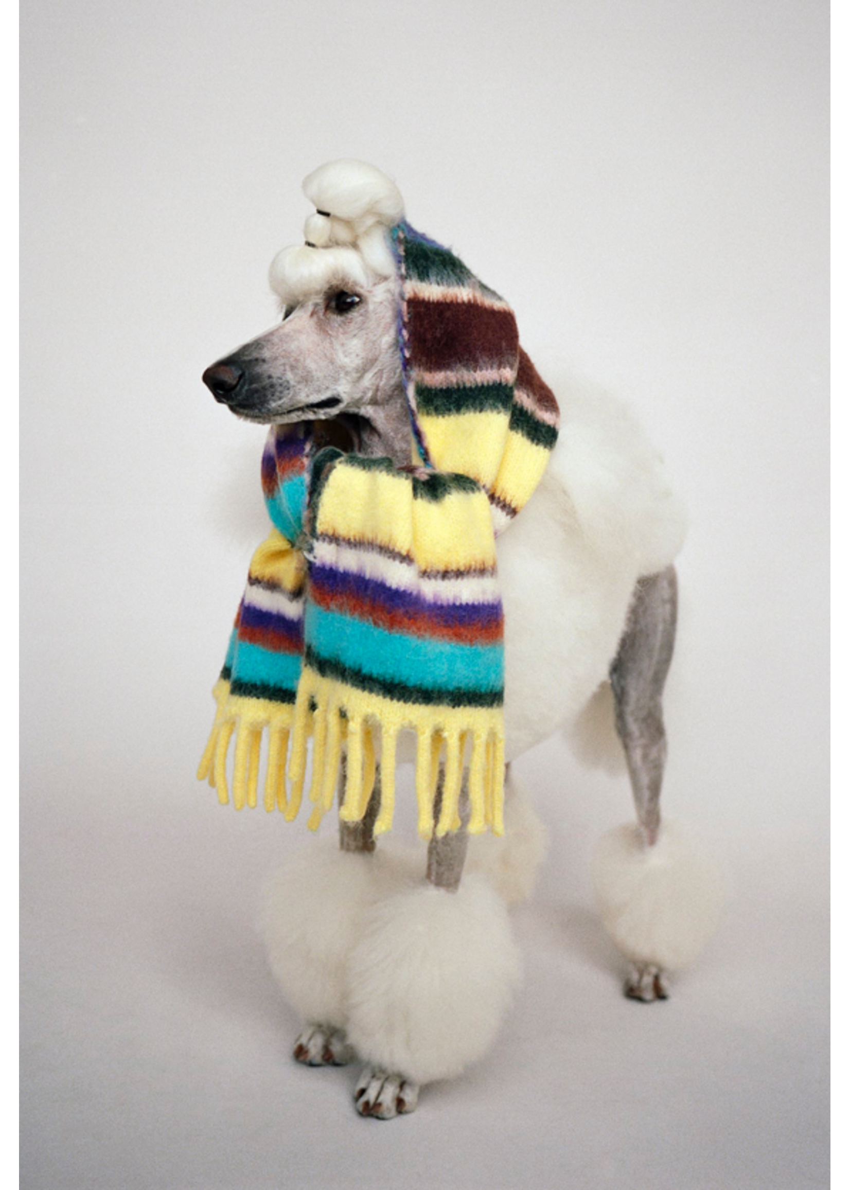 MOLO MOLO Scarf Kelly Gemstone Stripe