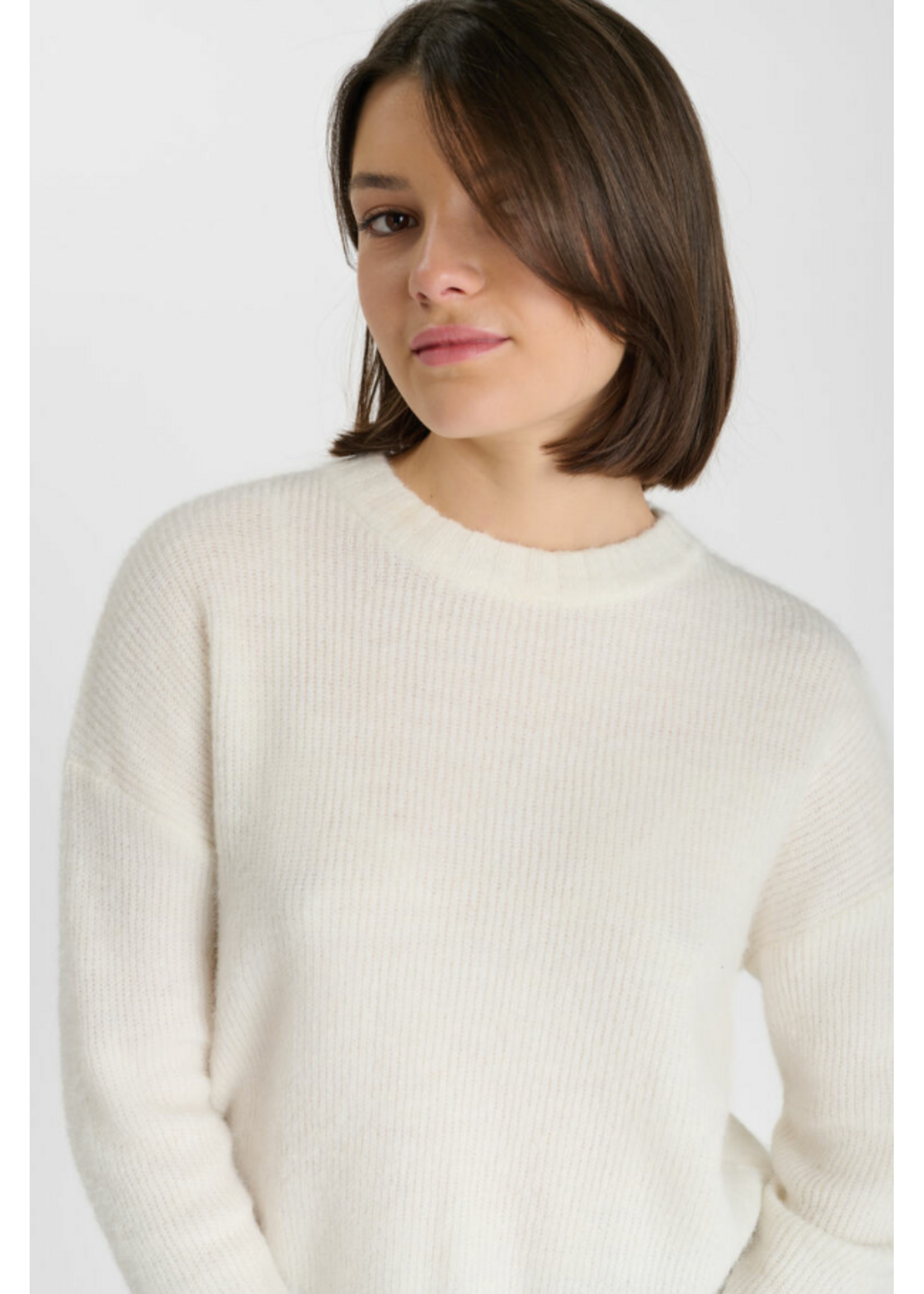LTDC LTDC Pullover Morygi Ice Cream
