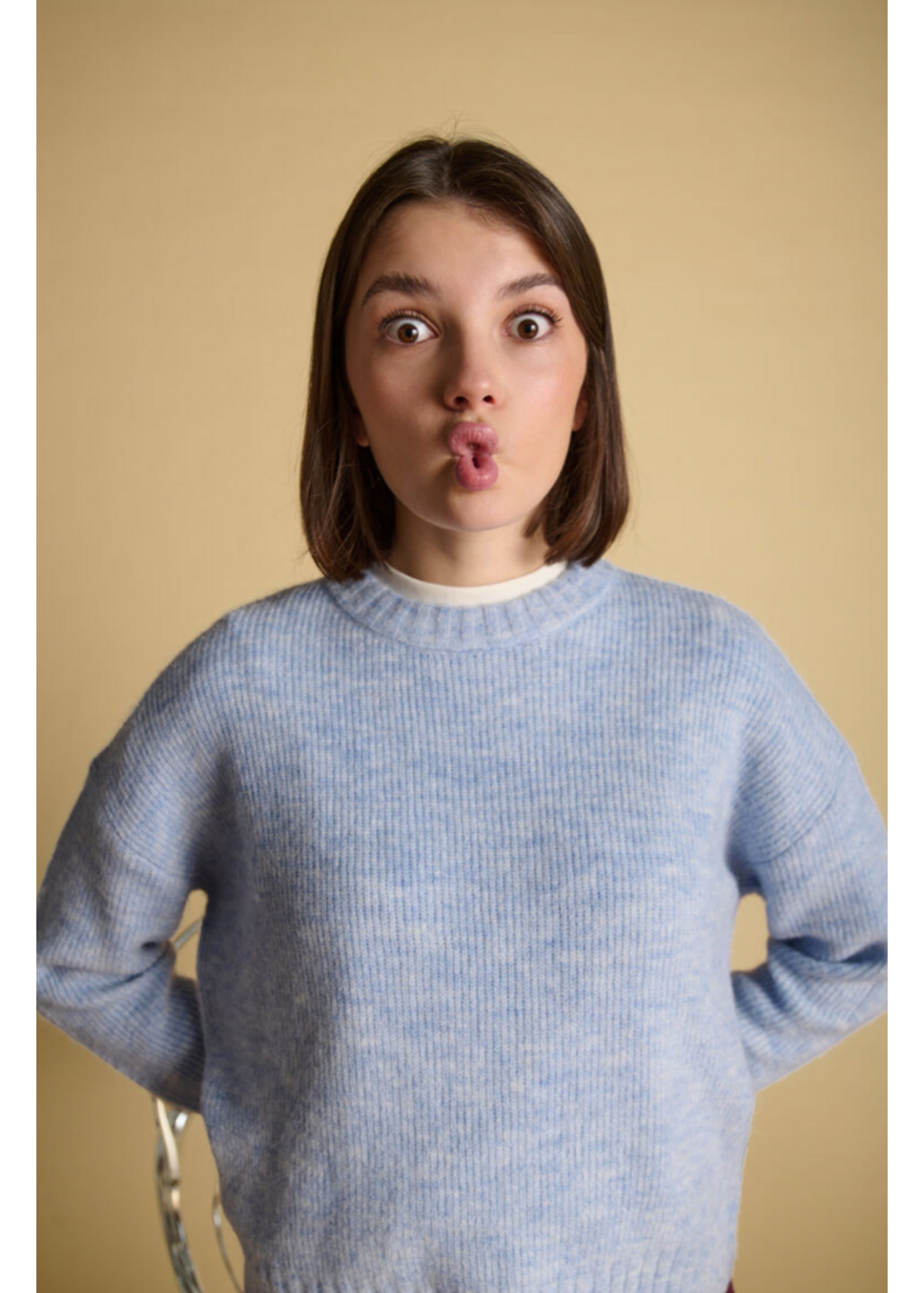 LTDC LTDC Pullover Morygi Lavander