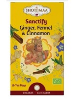 Ayurvedic SHOTI MAA Échinacée vitale Gingembre & Rose Musquée 16b bio