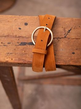 La petite étoile dixon camel