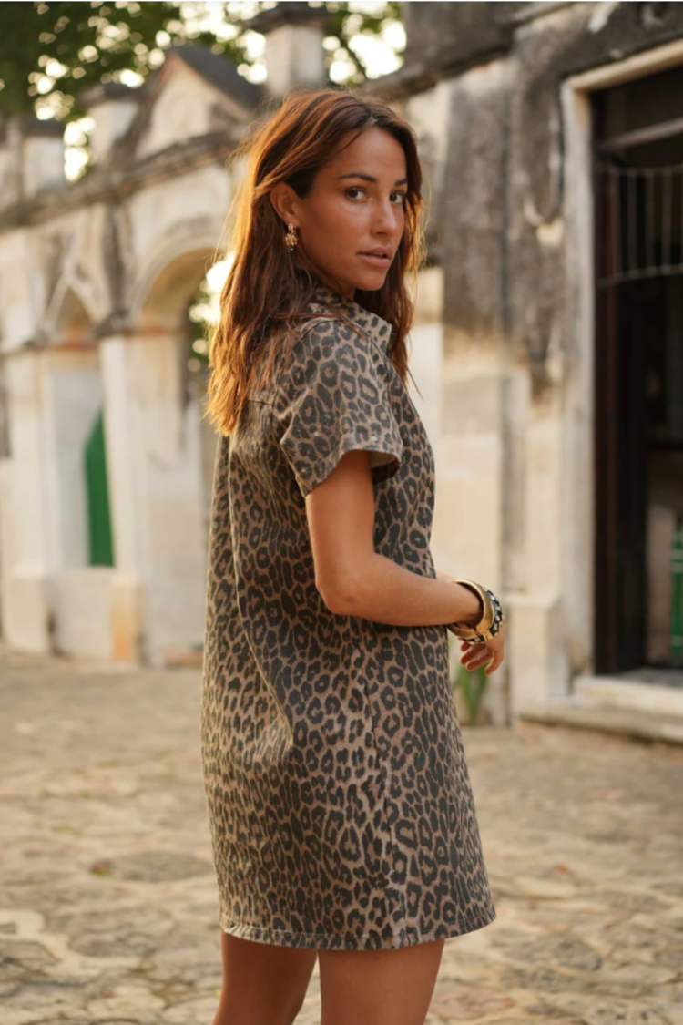 Sillie rouane leopard mini dress