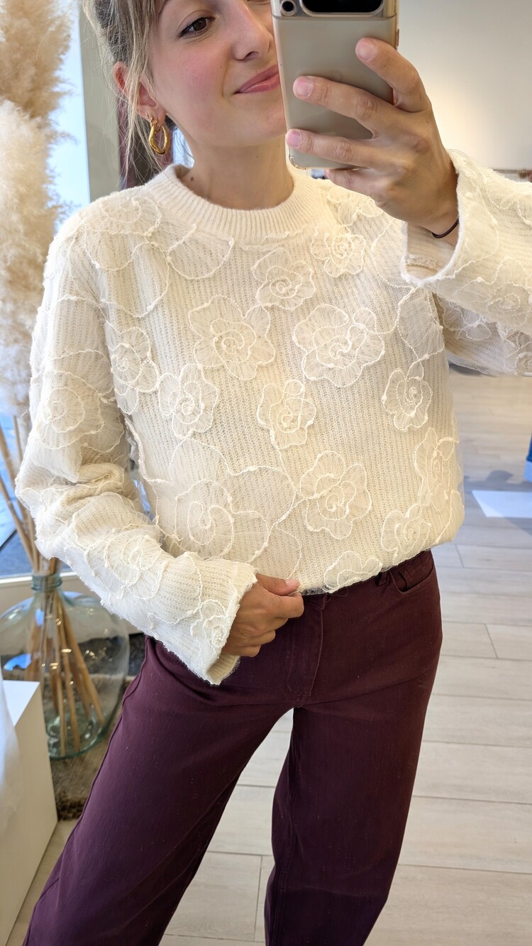 Vila Clothes vihayden mesh flowers - ecru