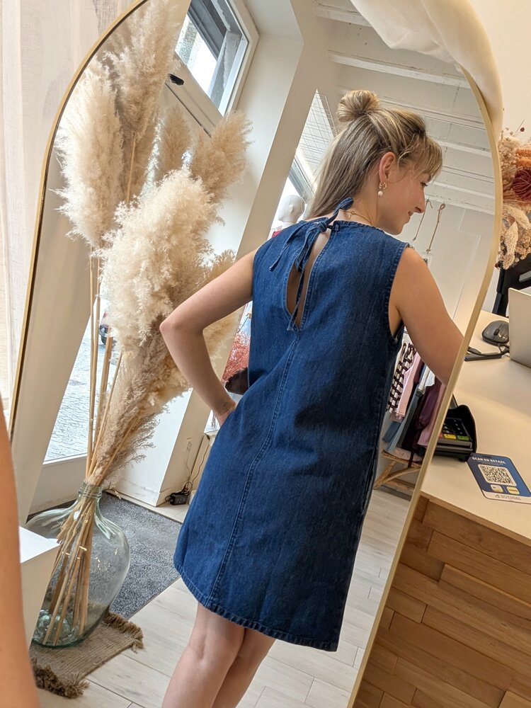 Sillie denim sleeveless mini dress