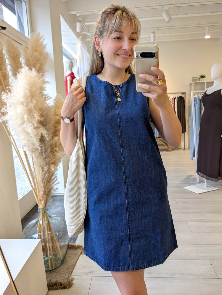 Sillie denim sleeveless mini dress