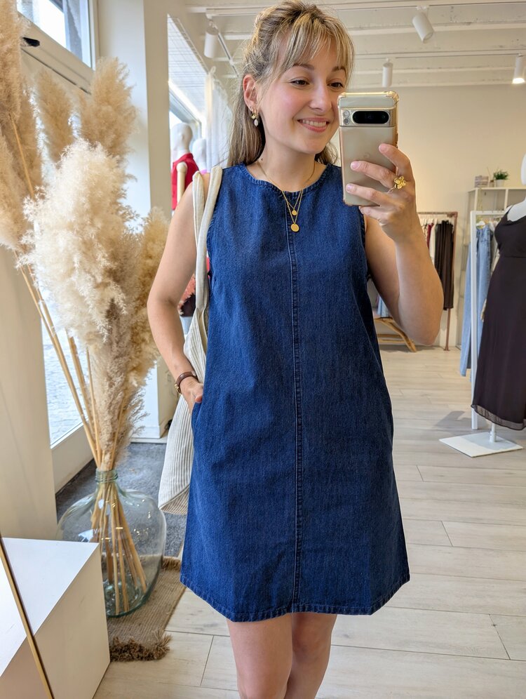 Sillie denim sleeveless mini dress