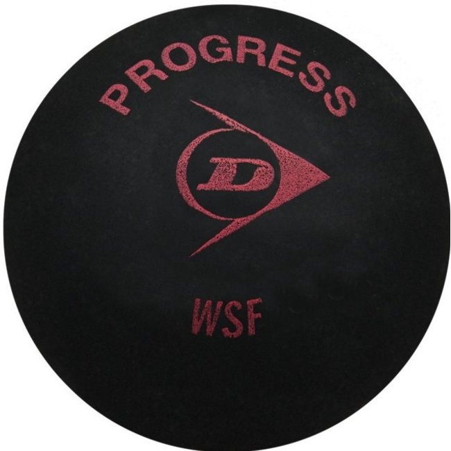 Dunlop Progress Squashbal Rood x12