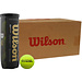 Wilson Wilson Premier Padel Speed Padelballen Doos 24x3