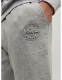 JACK&JONES PLUS JPSTSHARK SWEAT SHORTS AT PLS (3 kleuren)