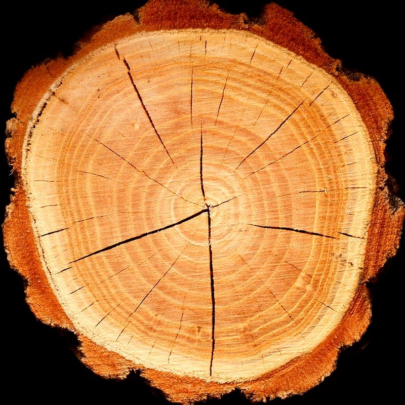 Yodeyma YO Parfum Aqua per Uomo (him) 50ml