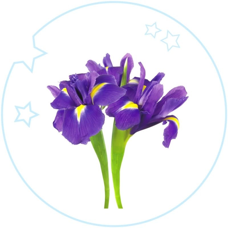 Yodeyma YO Parfum Kids 15ml