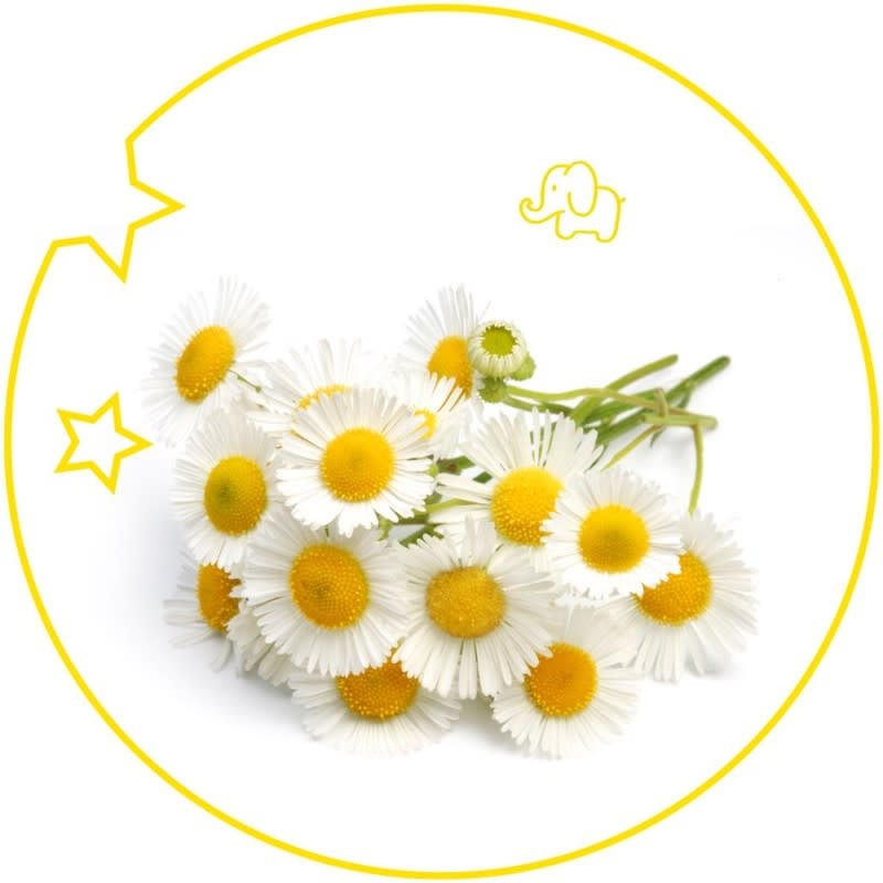 Yodeyma YO Parfum Kids 15ml